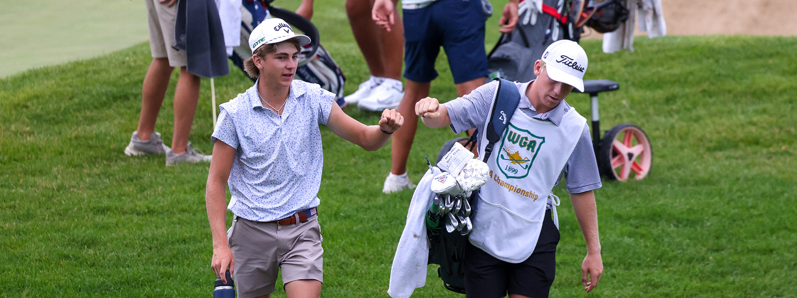 Handicap Cart Request banner